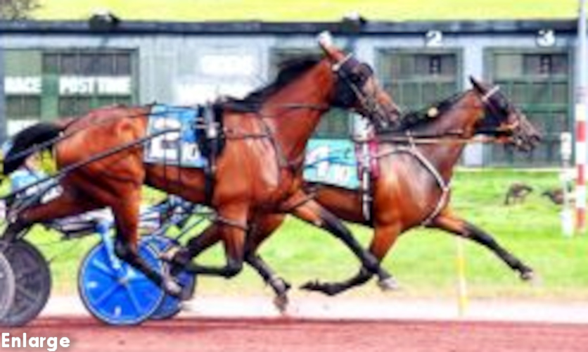 Photo of Suits Me Winning the Pocono Feature Race