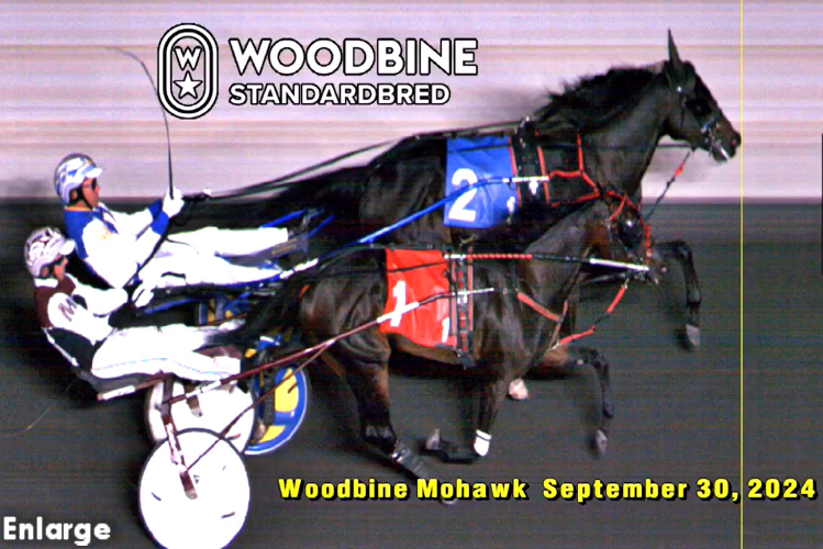 Video Grab of Love Those Legs winning the Ontario Sier Stakes Grassroots Championship