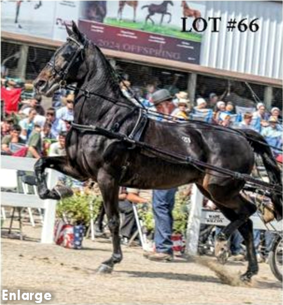 Photo of Andovertheplace